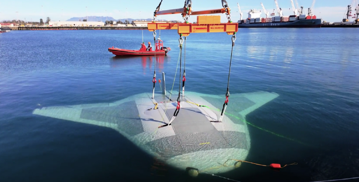 Putting Brains in AUVs